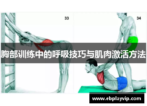 胸部训练中的呼吸技巧与肌肉激活方法